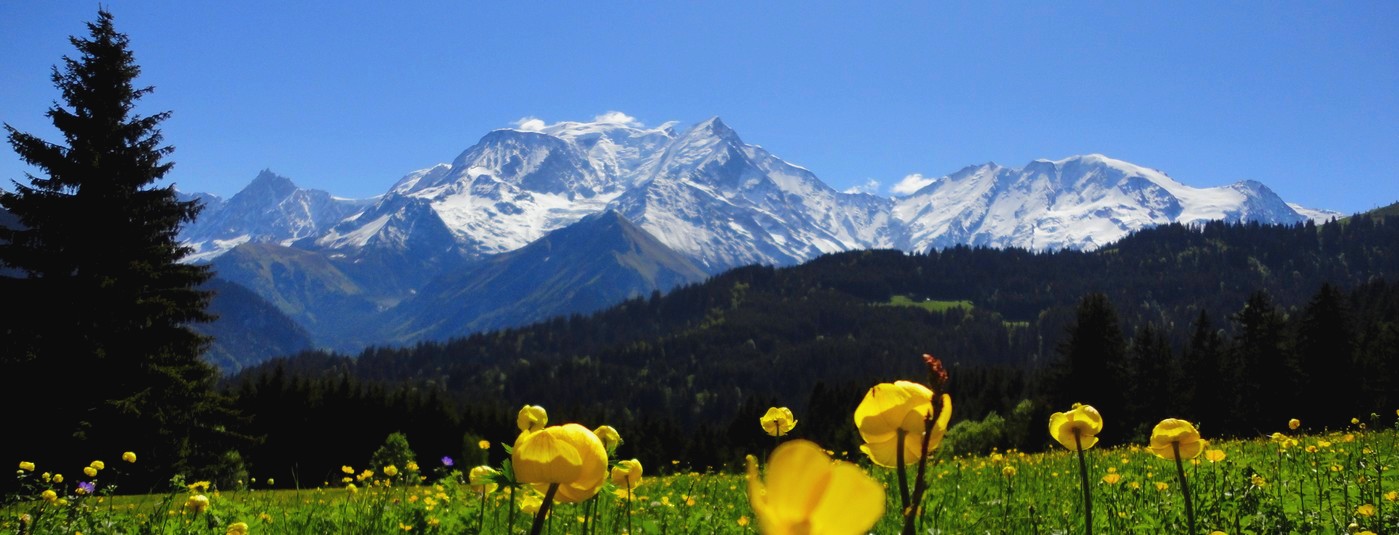 Un lieu de sérénité  et d’innocence<strong> au pied du  Mont Blanc </strong>
